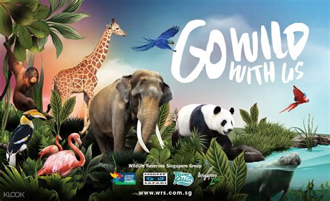 singapore zoo website tickets